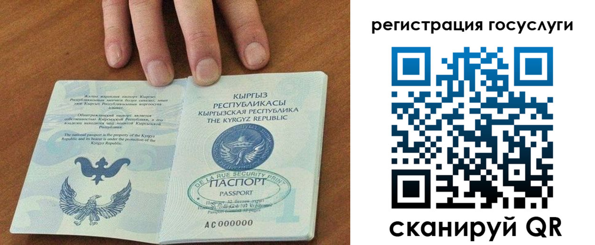 прописка ребенка в Балашихе